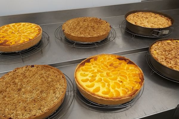 hausgemacht-kuchen-zubereitungB4A66DE3-39D4-1762-0CB7-2722A464120D.jpeg
